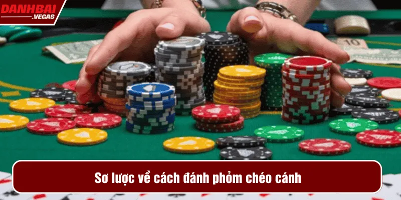 Sơ lược về cách đánh phỏm chéo cánh